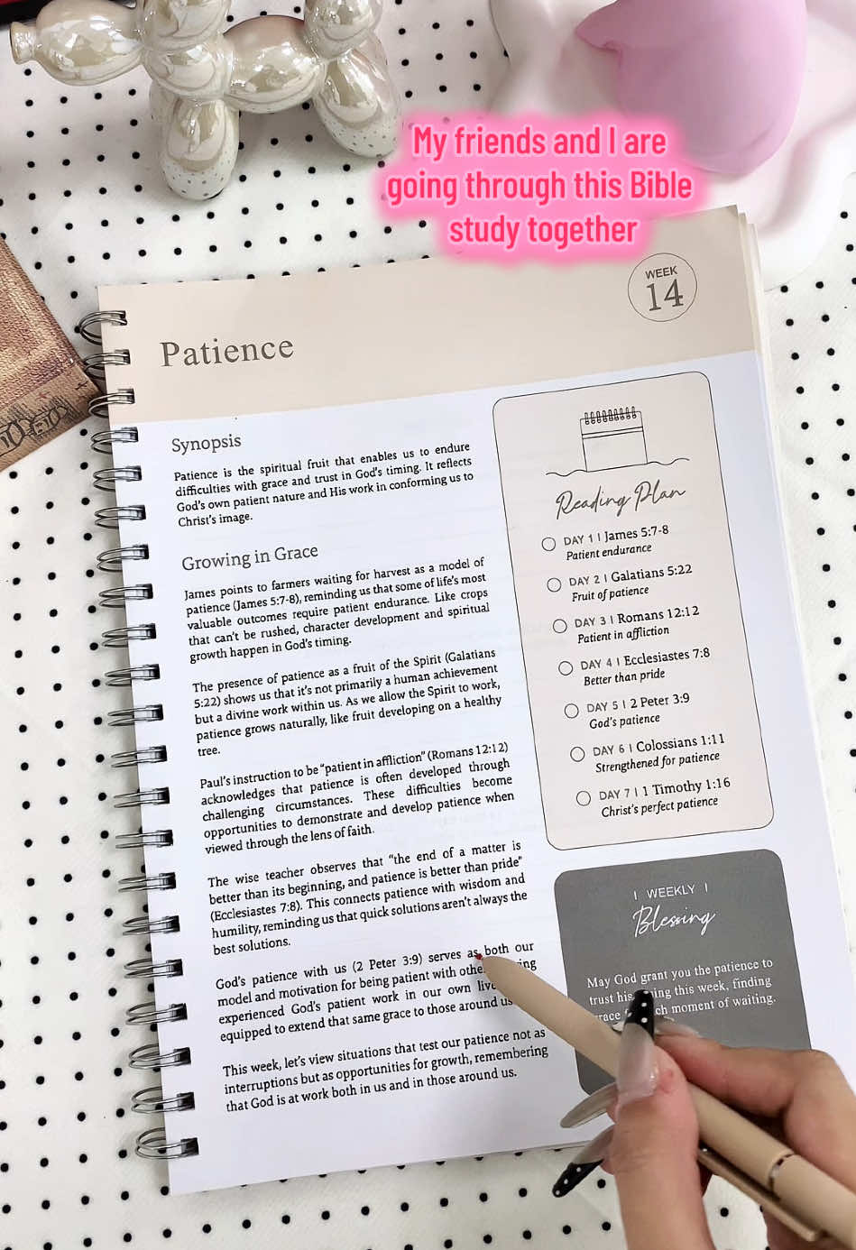 #biblestudy #bibletime  #christiantiktok #spotlightfinds #tiktokshoplabordaysale 