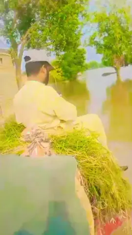 خدمت خلق ہمارا مشن