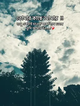তোমার কাছে আমার শুধু একটাই চাওয়া' সব নিয়ম ভেঙ্গে তুমি আমার হও....!❤️‍🩹#unfrezzmyaccount #typ #fouryou #foryoupage #1millionaudition @TikTok @TikTok Bangladesh @For You @everyone 