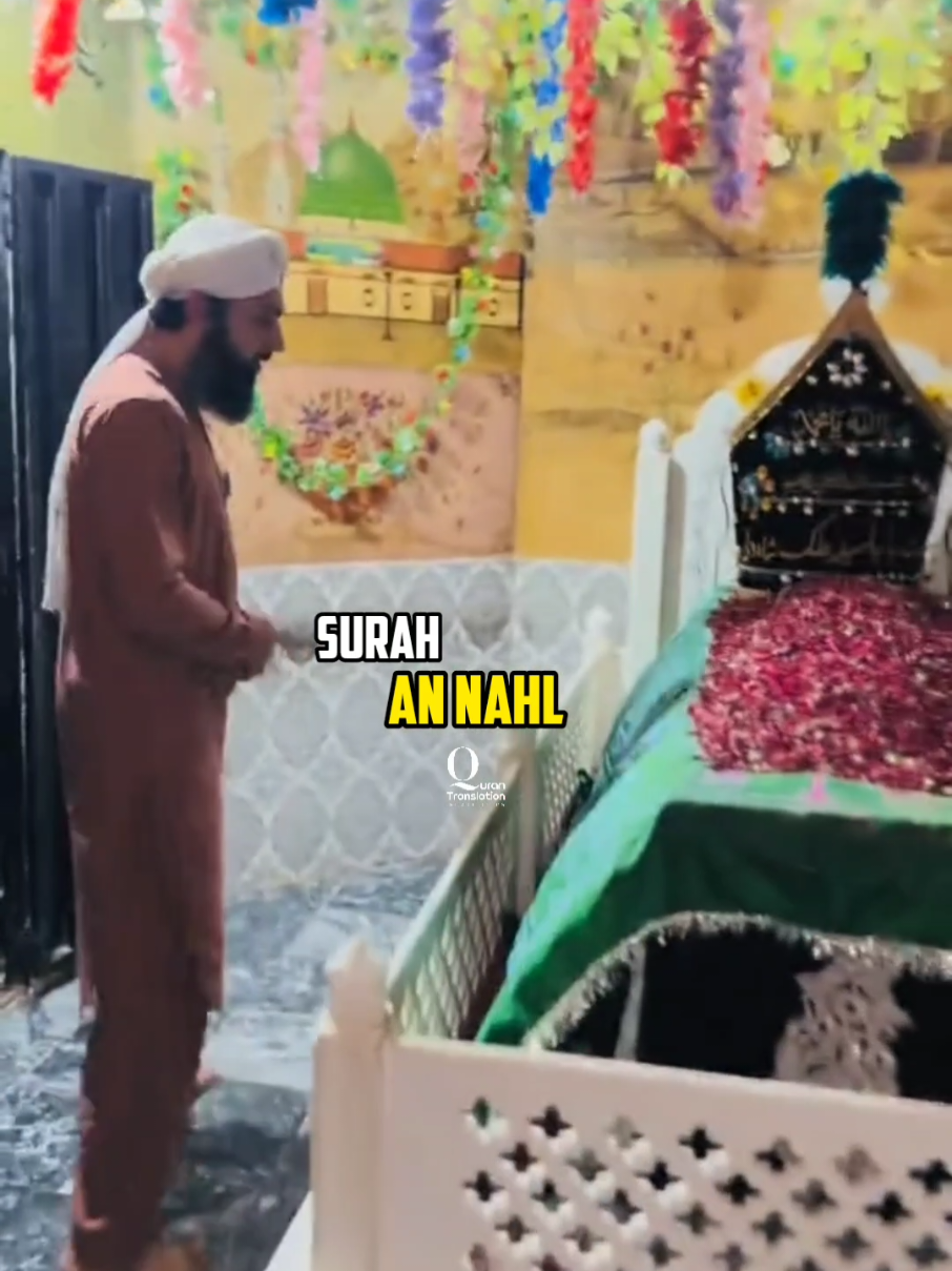 Surah An Nahl | Quran Translation Short Clip #surahannahl #quran #qurantranslation #quranverses #quransayings 