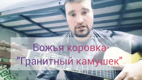 Божья коровка 