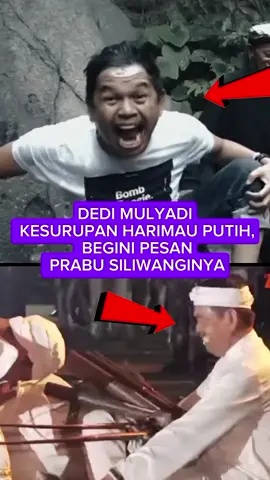 DEDI MULYADI KESURUPAN HARIMAU PUTIH, BEGINI PESAN PRABU SILIWANGINYA #dedimulyadi#kesurupan#shorts #shortvideo1441 