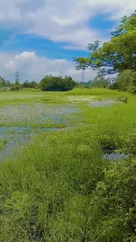 Ma Sah Allah 😊🌷 @TikTok Bangladesh @TikTok Treats Indonesia #tiktok #capcut #CapCut #foryou #CapCut 