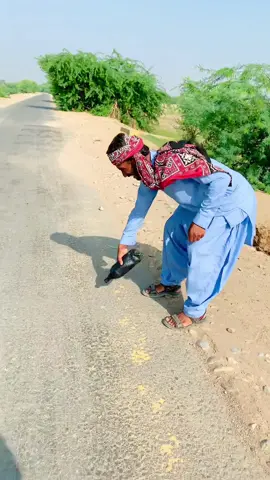 Akhir larkay Kay shoose Kesey chepak gey #Teamusman3 #foryou#shahzadayoub4 #fiazfk #teammts #fyp #funnyvideos #trending #comedy #shorts #follow #Teamusman3 #rajabfamily #khizaromer #shortfilm#waqaskhalil#followme #Teamusman3 #foryou #fyp 