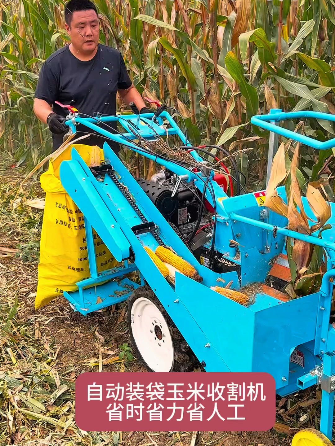 #乘坐式玉米收割机 #旋耕机 #微耕机 #履带微耕机 #cultivatoragainstherosociety #bagascultivator #giadụngcầuthangmáy #果园大棚微耕机乘坐式履带旋耕机 #果园大棚管理旋耕 #小型中型大型农场田园大棚农民履带四轮微耕旋耕机