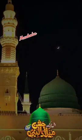 سرکار کی آمد #tiktok #naat #tiktokviralvideo #rabiulawal #creatorsearchinsights 