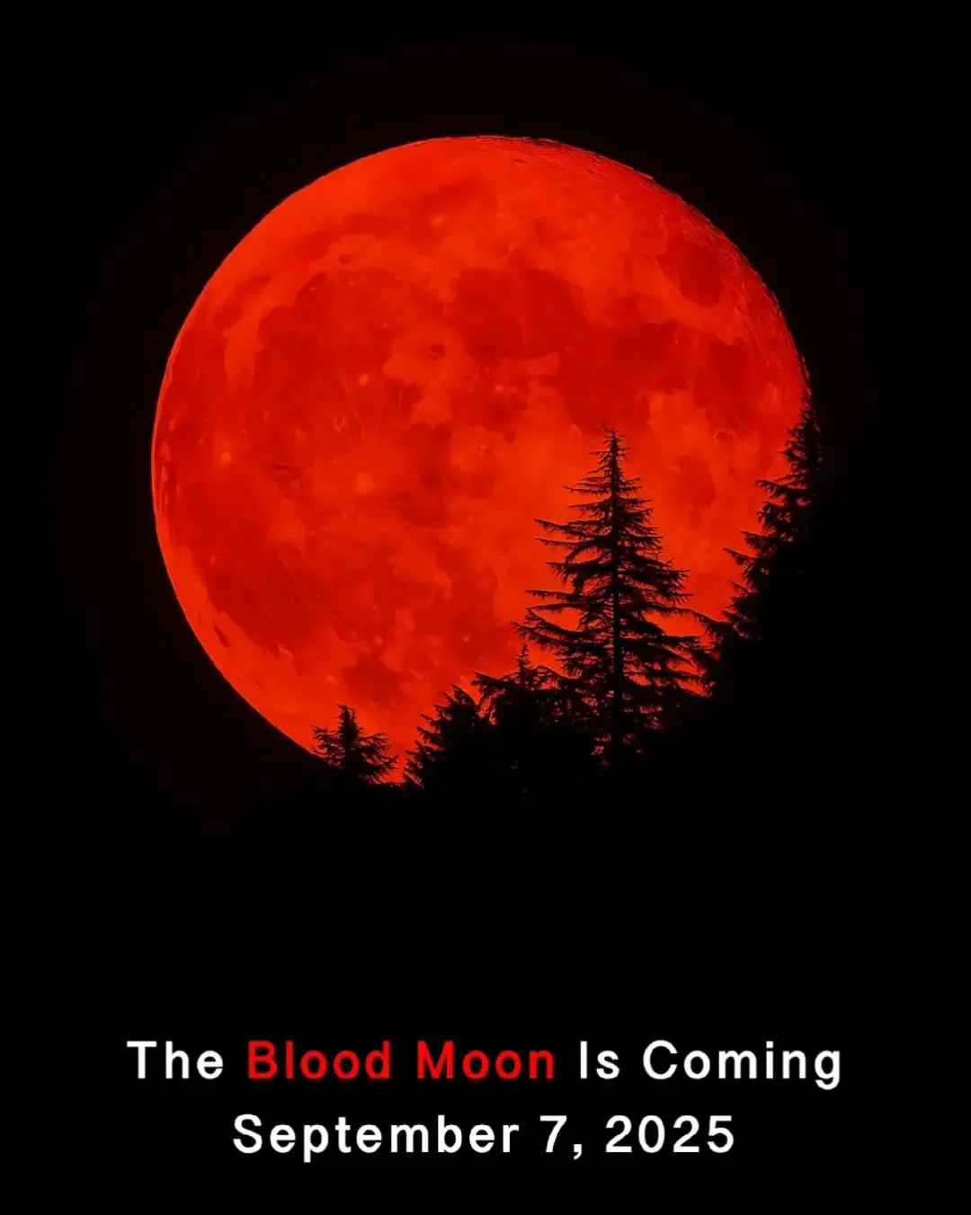 Bloody moon is coming 7 September 🙂🫶🏻 #moon #bloodmoon #moon #redmoon #redmoon @TikTok @TikTok Bangladesh 