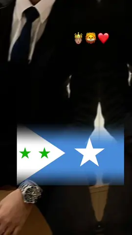 geesi marwalba astn mudn dheh🤴🏽🦁#foryoupage #somalitiktok #galmudugnimo💙🤍💚 #sacadsaciid🦁💪 #emel🧜‍♀️✨️ 