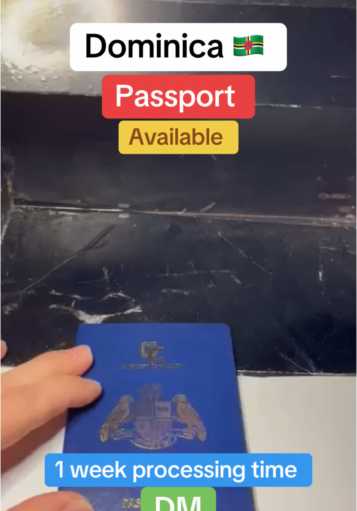 #dominica 🇩🇲 passport available! 1 week processing time . Dm now  #fyppppppppppppppppppppppp #passport #dualcitizenship #travel #freedom 
