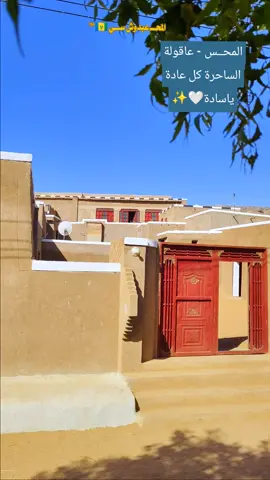 #حلفا_دناقلا_محس💚💚 #حلفا_سكوت_محس_دنقلا💙💙 #الشمالية_محس_ودناقله_شوايقة_حلفا 
