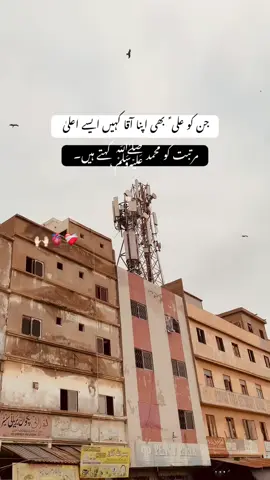جن کو علی ؑ  بھی اپنا آقا کہیں ایسے اعلیٰ 🫀🙌🏻