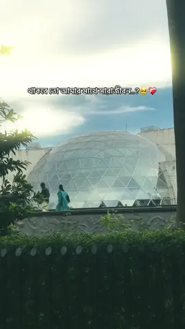 থাকবে তো আমার সাথে সারাজীবন..?🥺❤️‍🩹 #foryou  #the_spydoo 