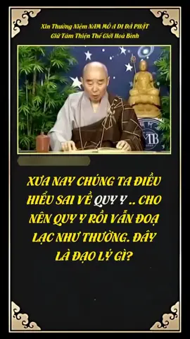 Nam Mô A Di Đà Phật 🙏🏻🙏🏻🙏🏻#phapsutinhkhong 