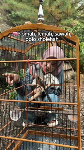 #kicaumania #kicaumanianusantara #kicauburung #burungcendet #cendet #cendetmania #hobiburung #cewekburung #cewekburung #historicewekburung #fyp 
