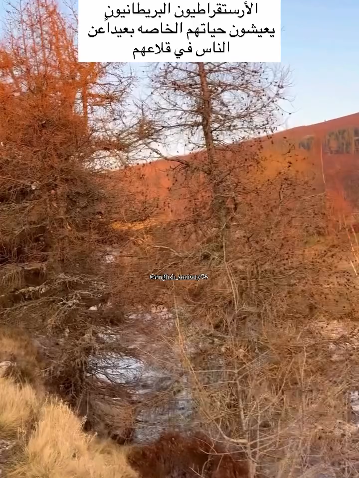 #🙂🙂🙂🙂🙂🙂🙂