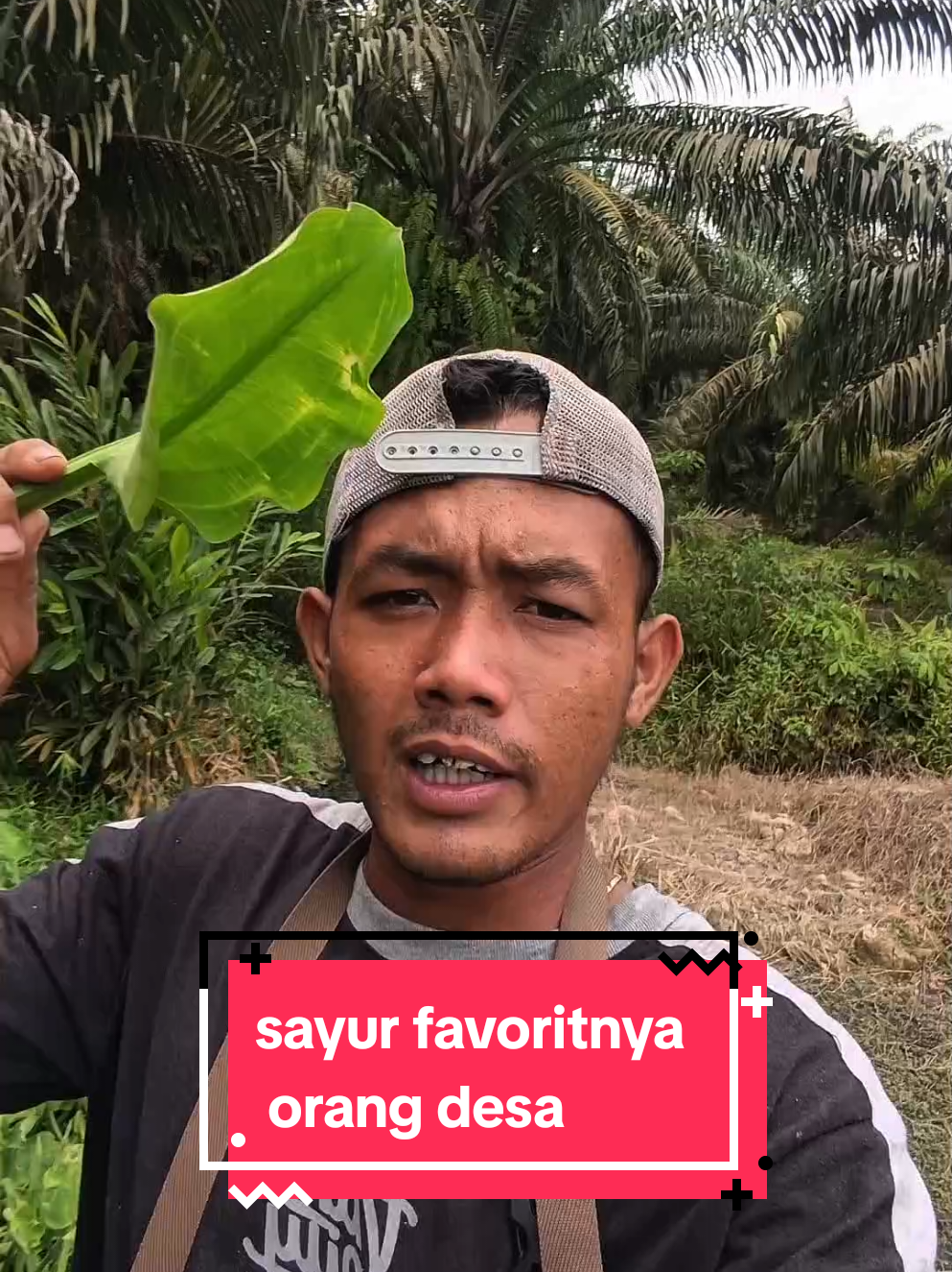 kalau dimakan dengan sambal terasi uh sedap #sayur #sayuran #tanaman #genjer #sayurfresh 