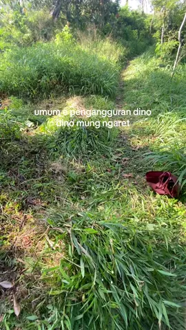 bagian delokk tok#perernakmuda#kambing#turgojayafram#fyptiktok 