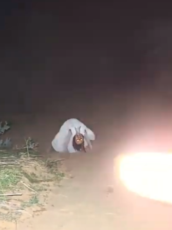 Night 12o #ghost #realghost #scary #bhoot #chudail 