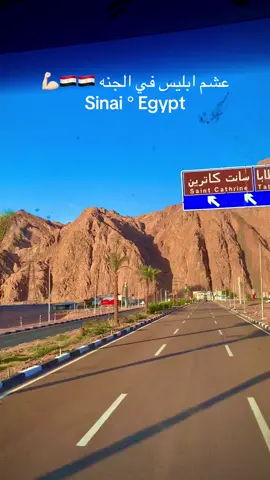 #ارض_الفيروز #سيناء #سيناء_بدوسيناء_بدومصر_ #شرم_الشيخ #سانت_كاترين 
