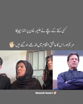 عمران خان کی بہن علیمہ خان پر انڈا پھینک دیا گیا۔💔#شوکت_خانم_کی_اولاد_زندہ_باد #imrankhanzindabad #viralvideo #growmyaccount #foryou 