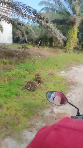 kalau ukurannya gaji dan tunjangannya ,salah besar banget pernah denger ga kata2 ini ada harga ada kualitas ,tapi ini bukan tentang barang 🤣 kalau aku lebih suka nengok kebawah si dari pada ke atas karna apa2 kita belajar dari bawah dulu #fyppppppppppppppppppppppp #pekebunansawit #sawitontiktok #istriplanters 