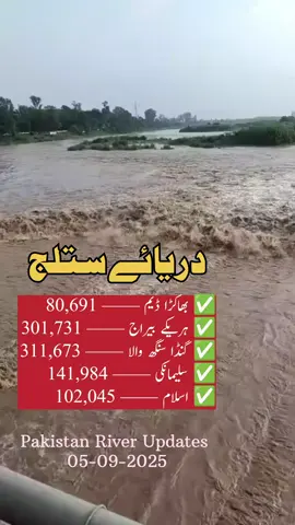 Sutlej River Update: Flow DROPS at Bhakra, Ganda Singh, Harike | RISES at Sulemanki & Islam Headworks