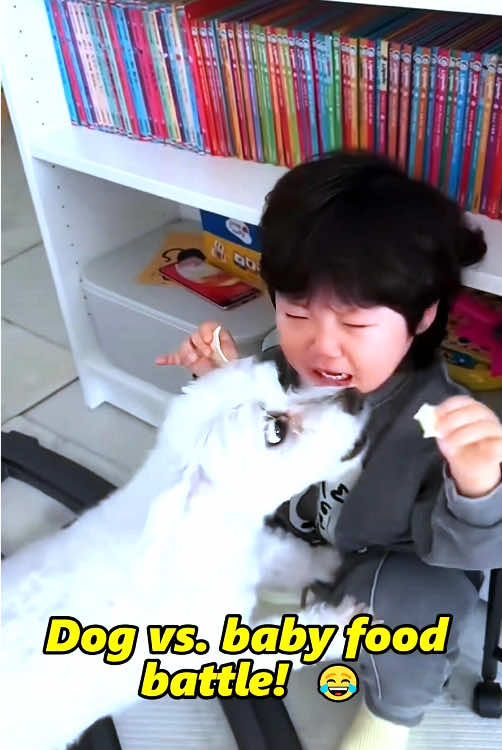Dog vs. baby food battle!#funnyvideos #fyp #funnybabyvideos #funnykids #funnytiktok 