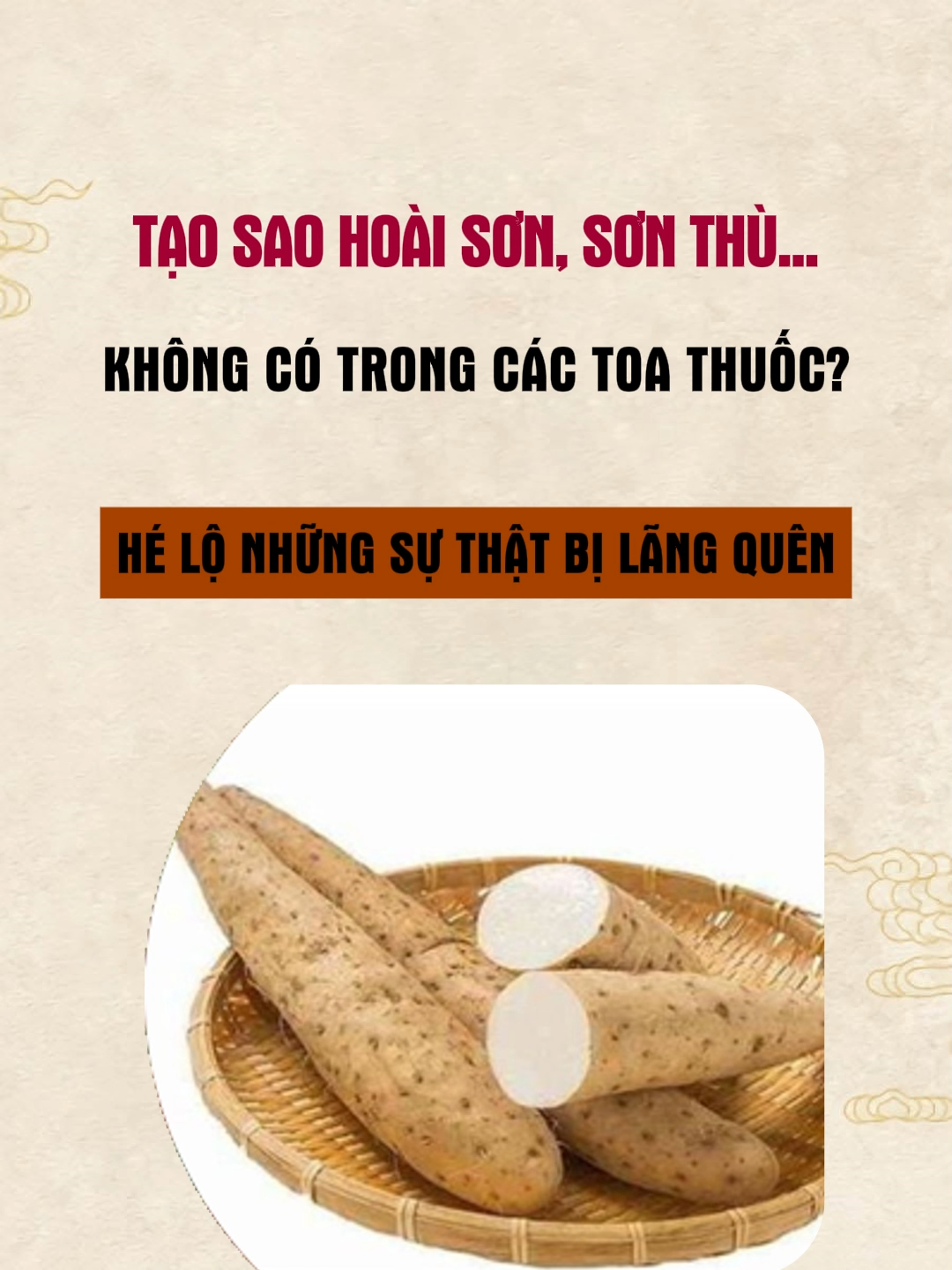 Tại Sao Các Thảo Dược Bổ Thận Như Sơn Thù, Sơn Dược, Trạch Tả,... Không Có Trong Các Đơn Thuốc? Thảo dược không vô dụng. Chỉ là không mang lại lợi nhuận như bạn nghĩ. Bài thuốc 