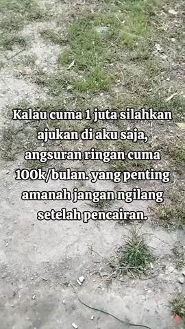 pinjaman khusus yang amanah #koperasi #pinjamanonline #koperasisimpanpinjam #foryou #fyp 
