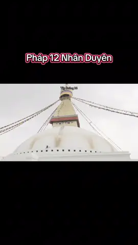 Pháp 12 nhân duyên #phatphap #12nhanduyen #phatphapnhiemmau #tapbuongbo96 