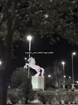 ئاگات لێیە؟؟ #hawler_slemani_dhok_karkuk_hallabja #tiktok #foryou #horse #k 