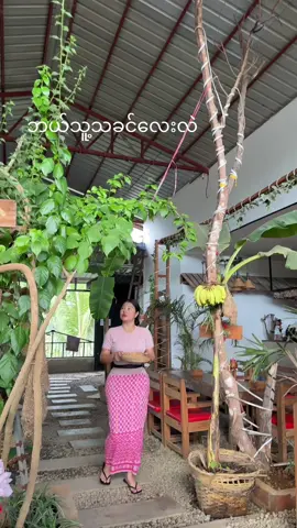 ငှက်ပျော်သီးကျွေးမယ်🥹