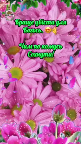 #позитивногонастрою😋🥰💖 🌹🥀🌹🥀🌹🥀🌺❤️