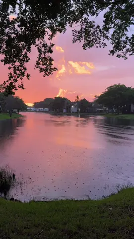 Sunsets like this are the only reason to live in Florida. 