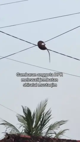 cermanan buat anda anda  #trending 