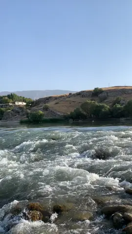 #kurdistan 