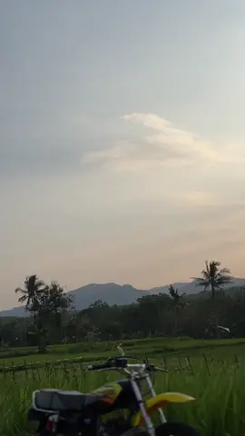 Nyore Sam #YTkingkong #yt115yamaha #gabulawul #rxkingblayer #fypシ゚viral 
