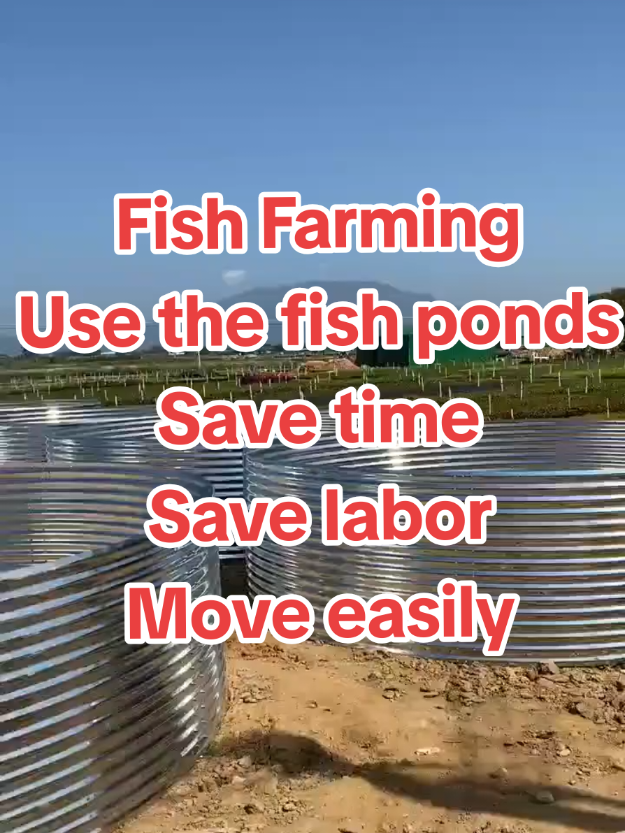 Fish farming  use the fish ponds  Save time . Save labor and Move easily. #zambiantiktok🇿🇲 #tiktokzambia #fishponds #tilapia #fishery 