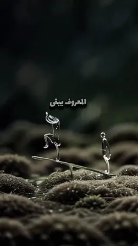 #المعروف_يبقى_والوفاء_لايضيع #fffffffffffyyyyyyyyyyypppppppppppp #متابعة #اكسبلور 