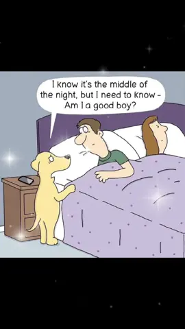 #idog #dogmemes #dogsoftiktok #DogHumor #funnydog 