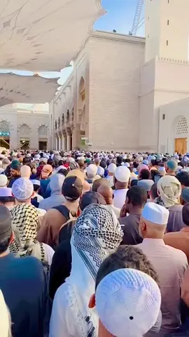 jashn e amad e Rasool marhaba marhaba#tiktokforyuo #viral #video #💚💚💚💚💚💚💚💚💚💚 
