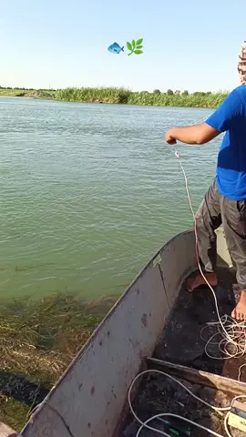 🐟🌿########