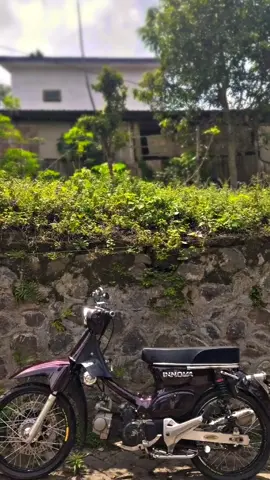 Spil nggonmu pose samping🤣 #c70modifikasi #pitunggank🤙 #herexjatim #pitung 