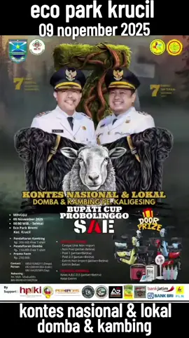 #kontesnasional  #dombadankambing  #sevenlakesfestival 