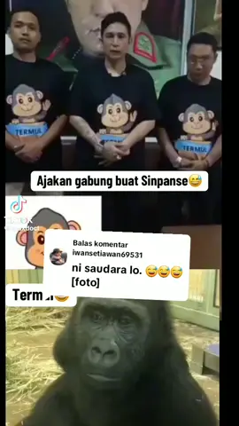 Membalas @iwansetiawan69531 ternak lu😂