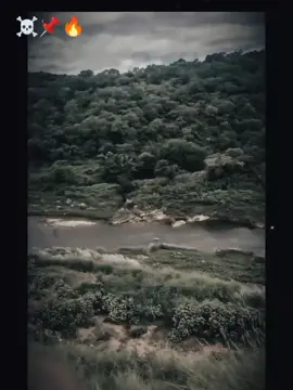 #fypシ゚ 