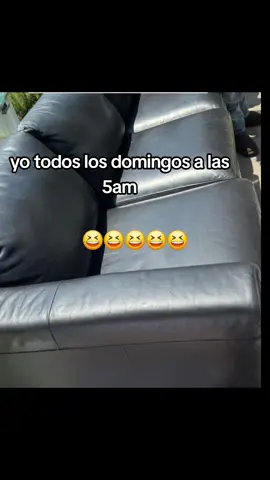 #Meme #MemeCut #CapCut el domingo no canpeon, entiende😆😆#sigueme 