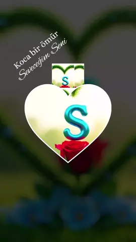 #Birtanem ❤️S❤️ Ureyimsenn #❤️S❤️ Seni Sevirəm ❤️S❤️ Askimm ❤️S❤️ #kesfetteyiz #kesfetteyiz #kesfetteyiz 