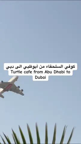 تيرتل كُوف كوفي فتح في دبي وبالتحديد في ذا 77 ڤالي، بعد شهرته في أبوظبي كأحد أبرز الكافيهات هناك. يقدم القهوة المختصة بمختلف أنواعها، إضافة إلى المشروبات المنعشة، الحلويات والمخبوزات الطازجة وسط أجواء عصرية مميزة The Turtle Cove Café has just opened its new branch in The 77 Valley, Dubai, after its great success in Abu Dhabi as one of the city’s most popular cafés. It’s known for serving specialty coffee along with a variety of refreshing drinks, fresh pastries, and desserts, all in a modern and elegant atmosphere. #dubai #abudhabi #coffee #cafe #trutle    