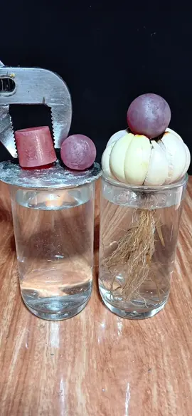 Aluminum + Garlic cloves Vs 100cc Red Hot Ball #redhotball #asmrsounds #experiment #satisfying #foryoupage 